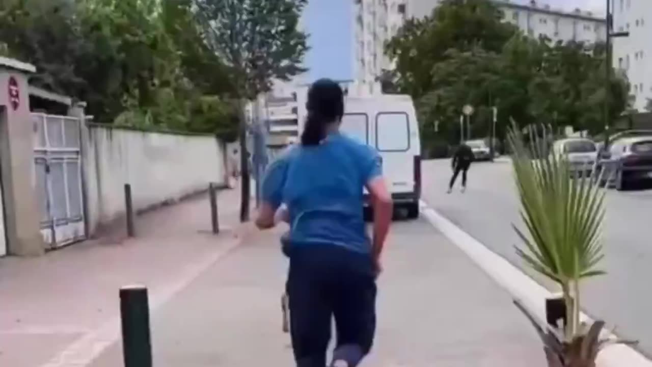 Why are there goats in Islamic neighborhoods in France?