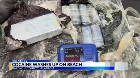 $1.5 MILLION in cocaine washes ashore on Alabama beach