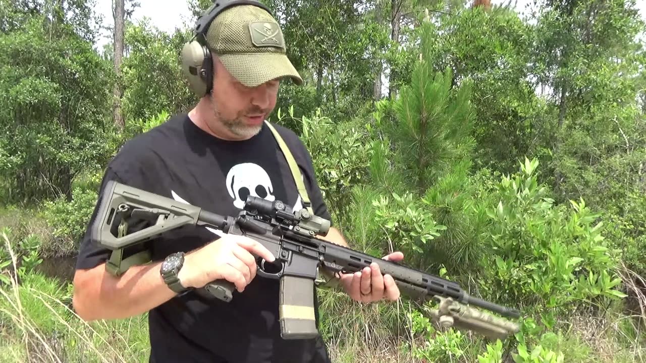 New LSW build - The Pig