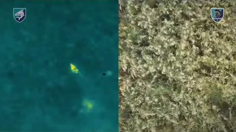 🚤🇷🇺 Ukraine Russia War | Ukrainian Coastal Defense Brigade Takes Out Russian Boats & Infantry | RCF