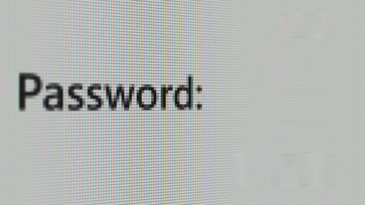 Your Google Password Leak?
