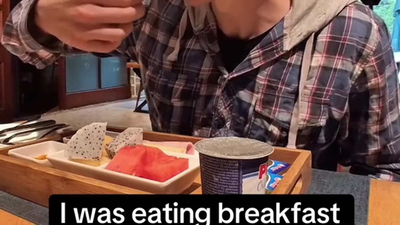 I was eating breakfast at a hotel when a bird randomly landed on my shoulder...