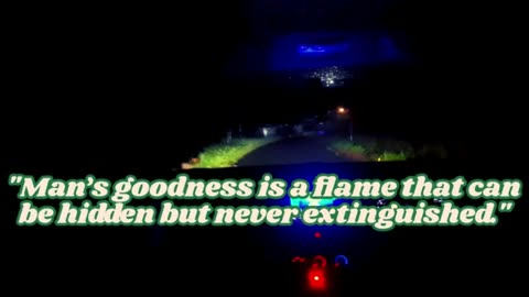 Quote of LIfe Everyday 29