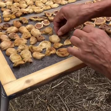 Fichi secchi per l'inverno