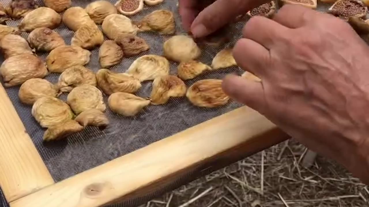 Fichi secchi per l'inverno
