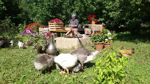 Harvesting 100 Lbs Peaches and Making Natural Juice for Winter, Outdoor Cooking