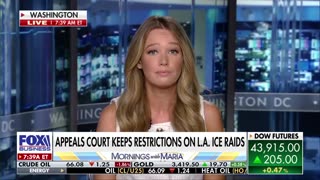 Tricia McLaughlin: Dems under fire amid 'horrible' spike in ICE attacks