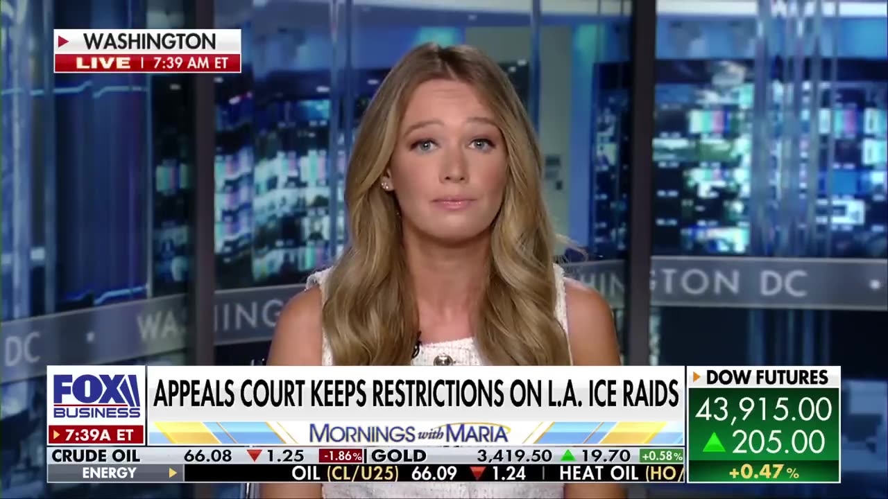 Tricia McLaughlin: Dems under fire amid 'horrible' spike in ICE attacks