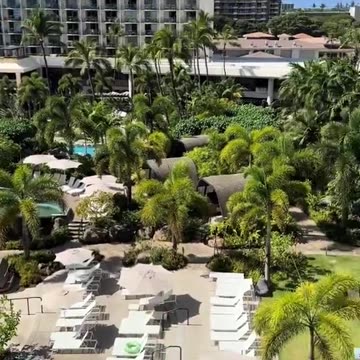 FATHER AND SON TRAPPED ON 7TH FLOOR OF HAWAII HOTEL AS TSUNAMI APPROACHES