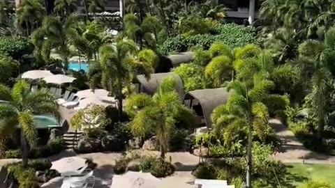 FATHER AND SON TRAPPED ON 7TH FLOOR OF HAWAII HOTEL AS TSUNAMI APPROACHES