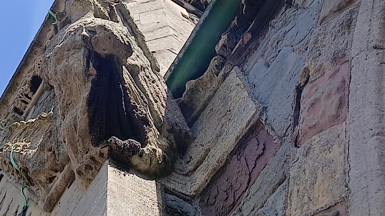 Beeezzzzz vibrated the belltower when a man said get rid of graves make a park, as I buried lola