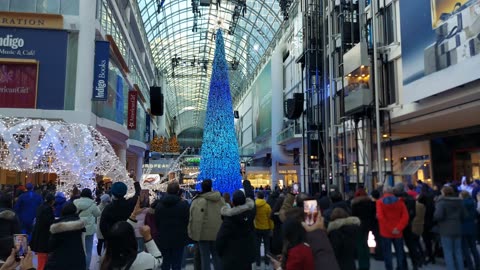 【4K】Christmas 🎄 Tree Lighting show Toronto Canada 🇨🇦 🎁
