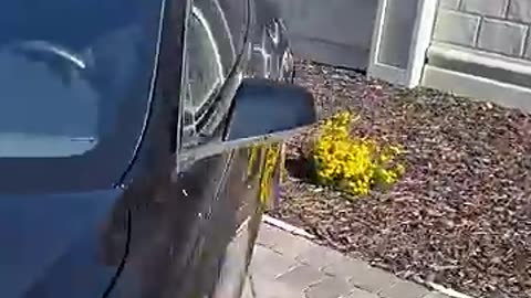 Must Watch: How Many Types of Doorhandles are on a Tesla?