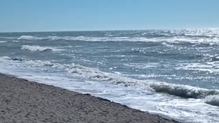A COOL AND WINDY DAY AT TURTLE BEACH SARASOTA!