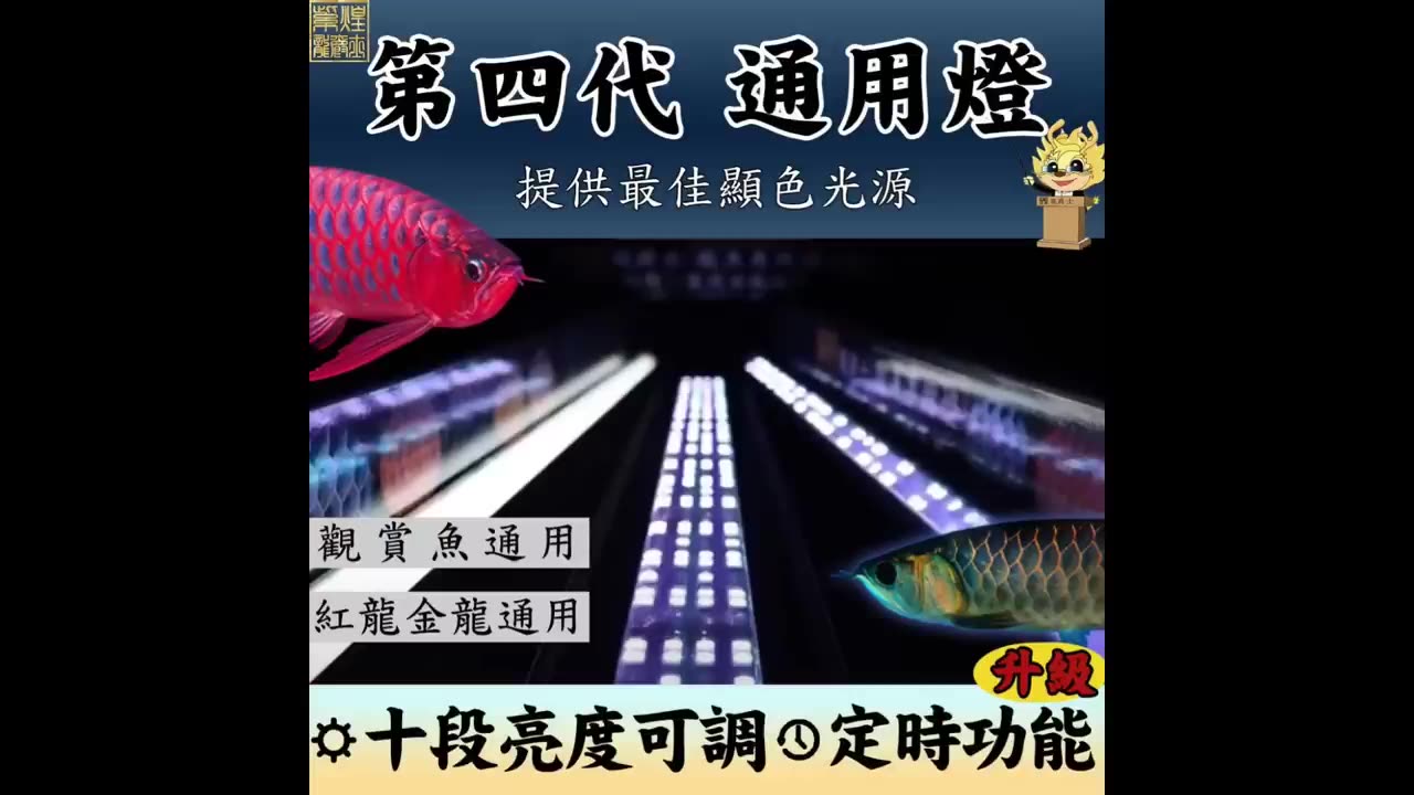 【龍爵士】第四代通用燈 紅龍 金龍 水族通用