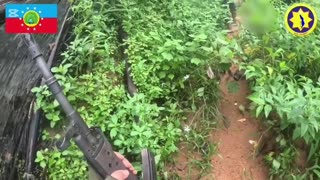 🔥🪖 Myanmar War | Dawei National Liberation Army and Rebels Ambush Junta Forces in Tanintharyi | RCF