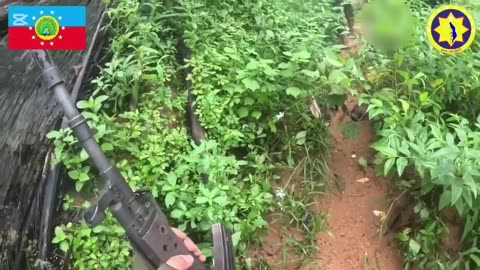 🔥🪖 Myanmar War | Dawei National Liberation Army and Rebels Ambush Junta Forces in Tanintharyi | RCF
