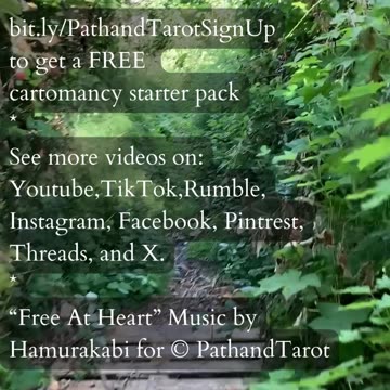 Progress Not Perfection | Path and Tarot Reading