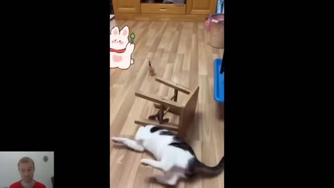 Funniest Cats and Dogs Videos 😻🐶 - Best Funniest Animals Video 2024 😂