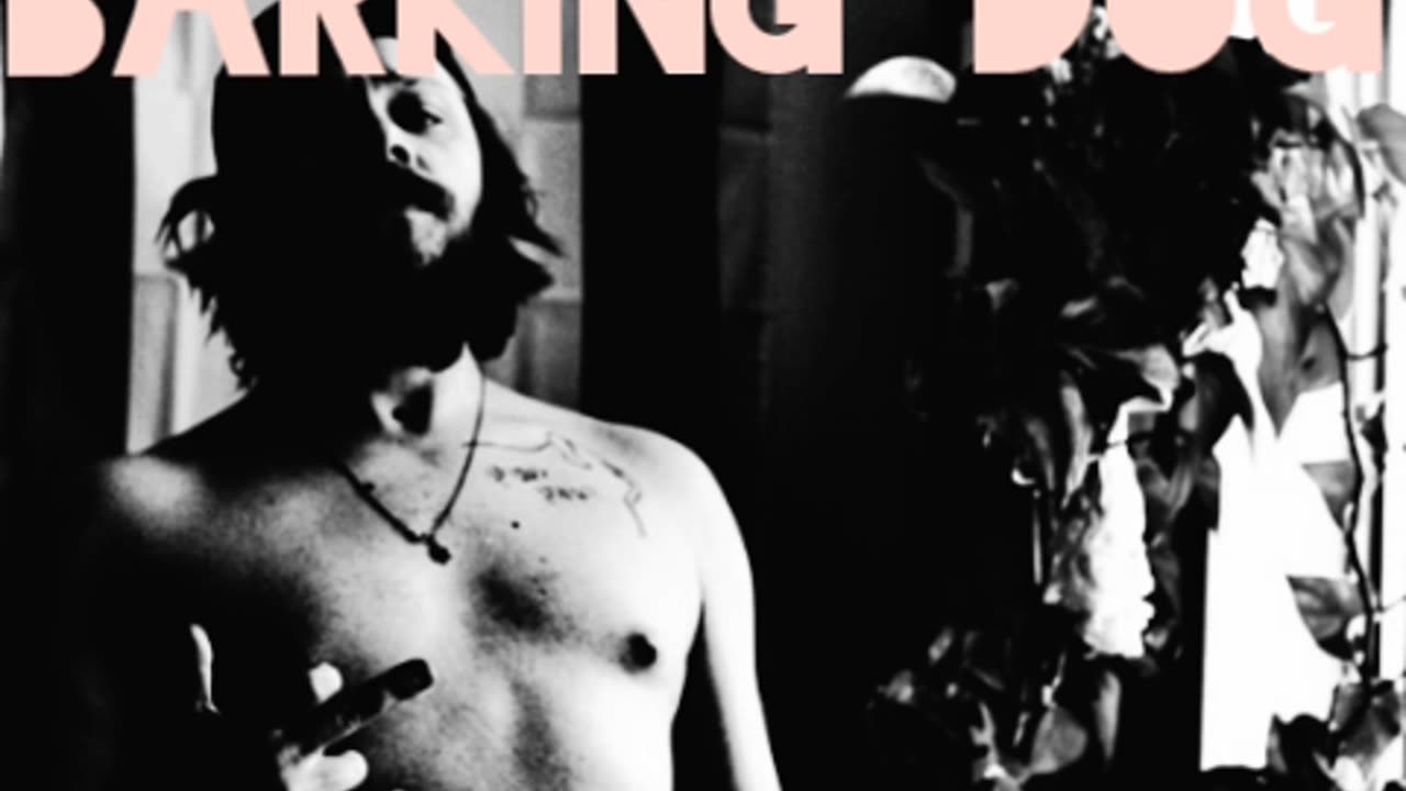 Iron sharpens iron- barking dog