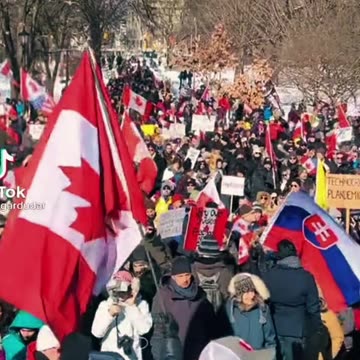 Trucker’s Freedom Convoy “Don’t Comply”