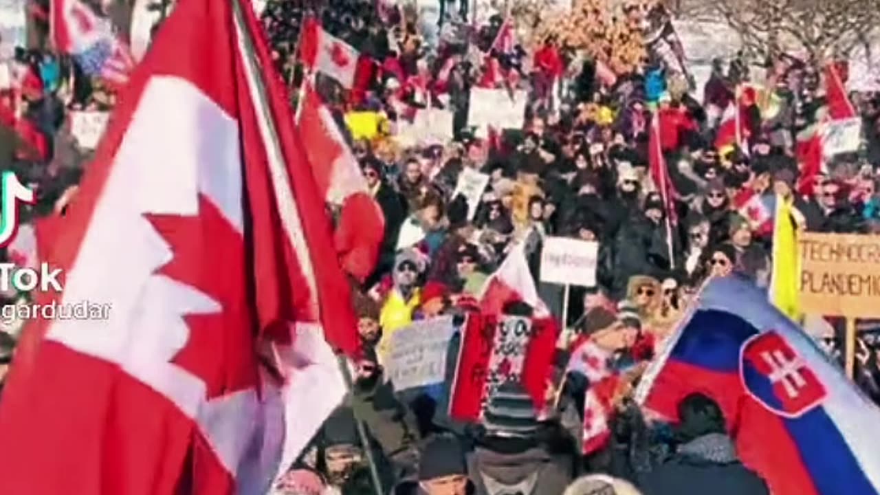 Trucker’s Freedom Convoy “Don’t Comply”