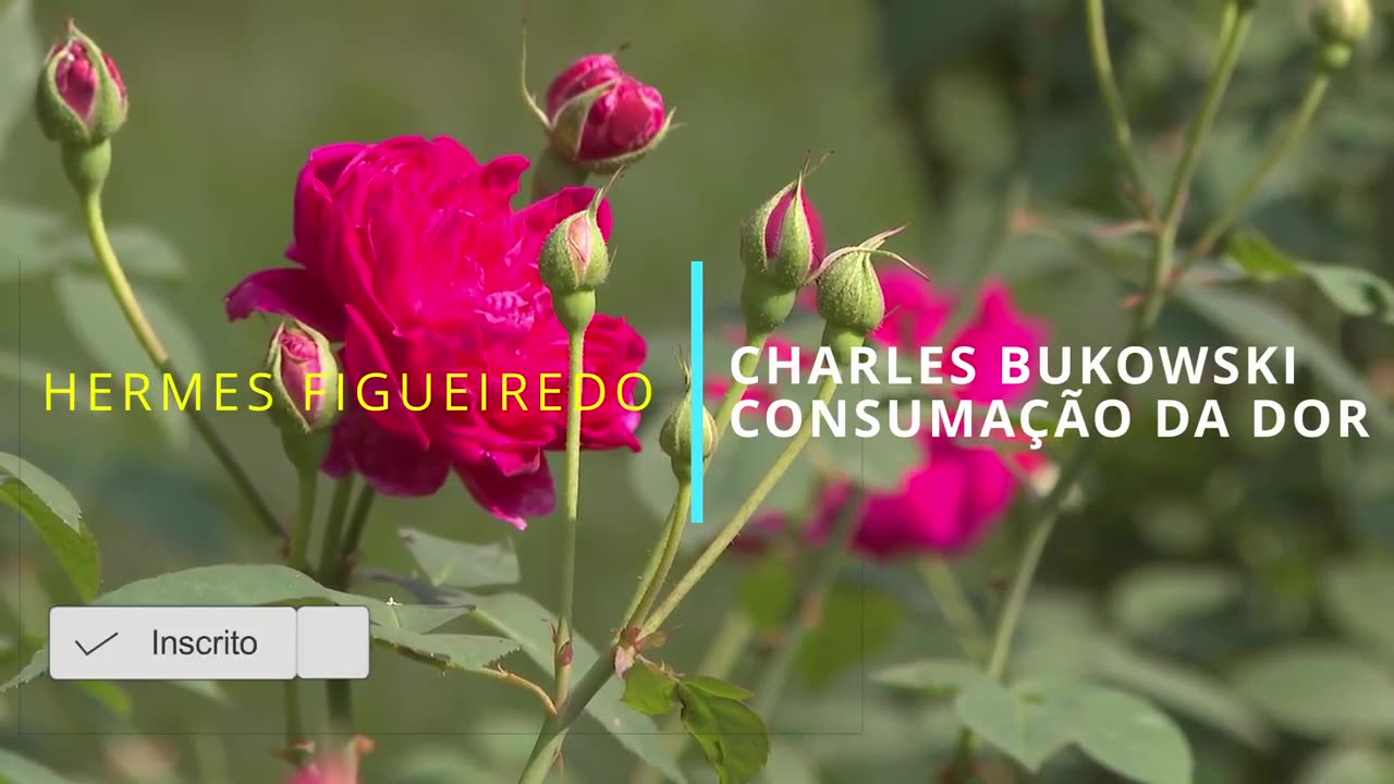 👉 Charles Bukowski – “Consumação da Dor” | Poesia Completa em Português + Reflexão Literária