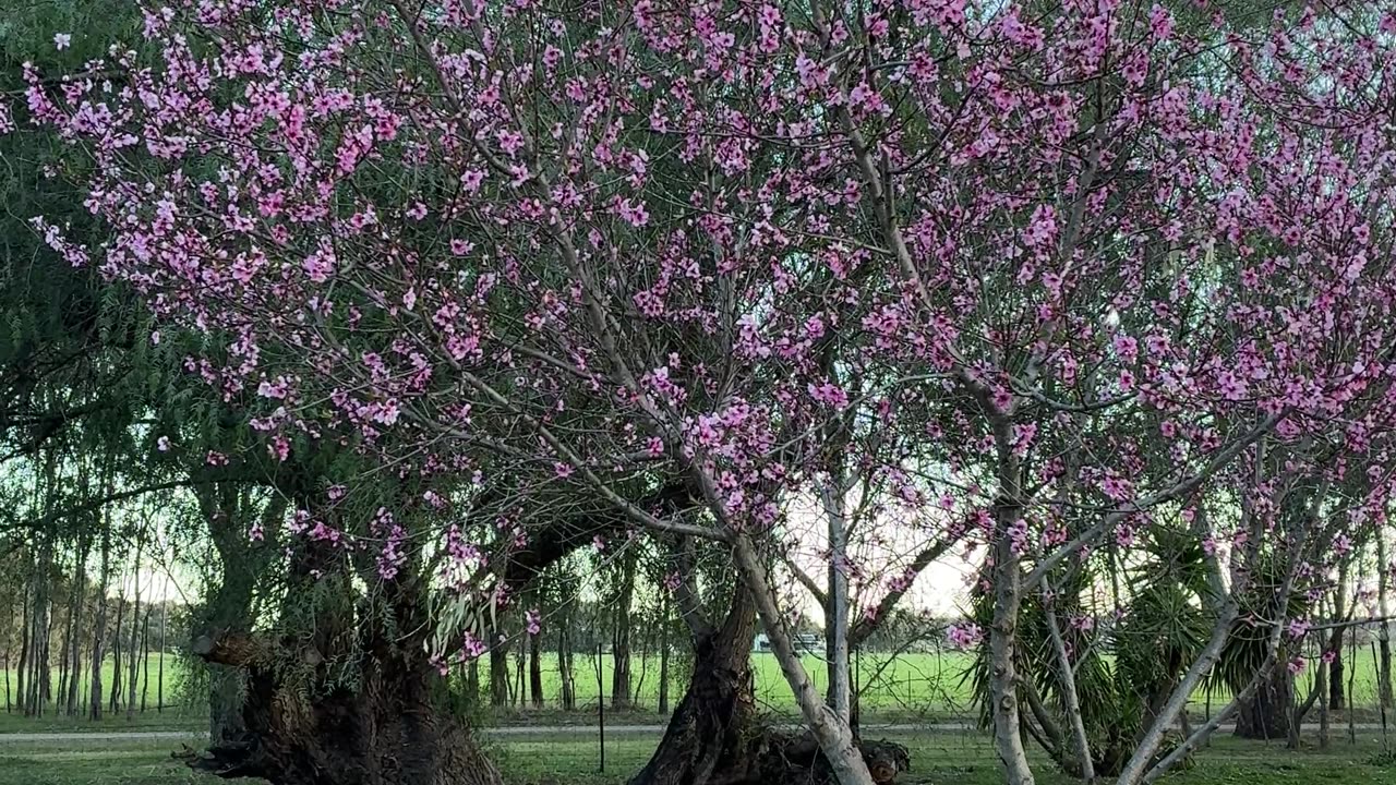 Serenity at Jaya Sanctuary