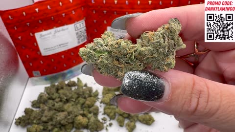 Lit Farms Supreme Review! 3 Oz of Straight FIRE! Mrs Dank Flamingo!