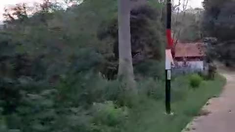 Exploring Nature on Two Wheels