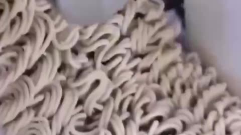 These $1 ramen noodles are hyper-processed
