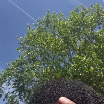 Mans smooth with it 😂