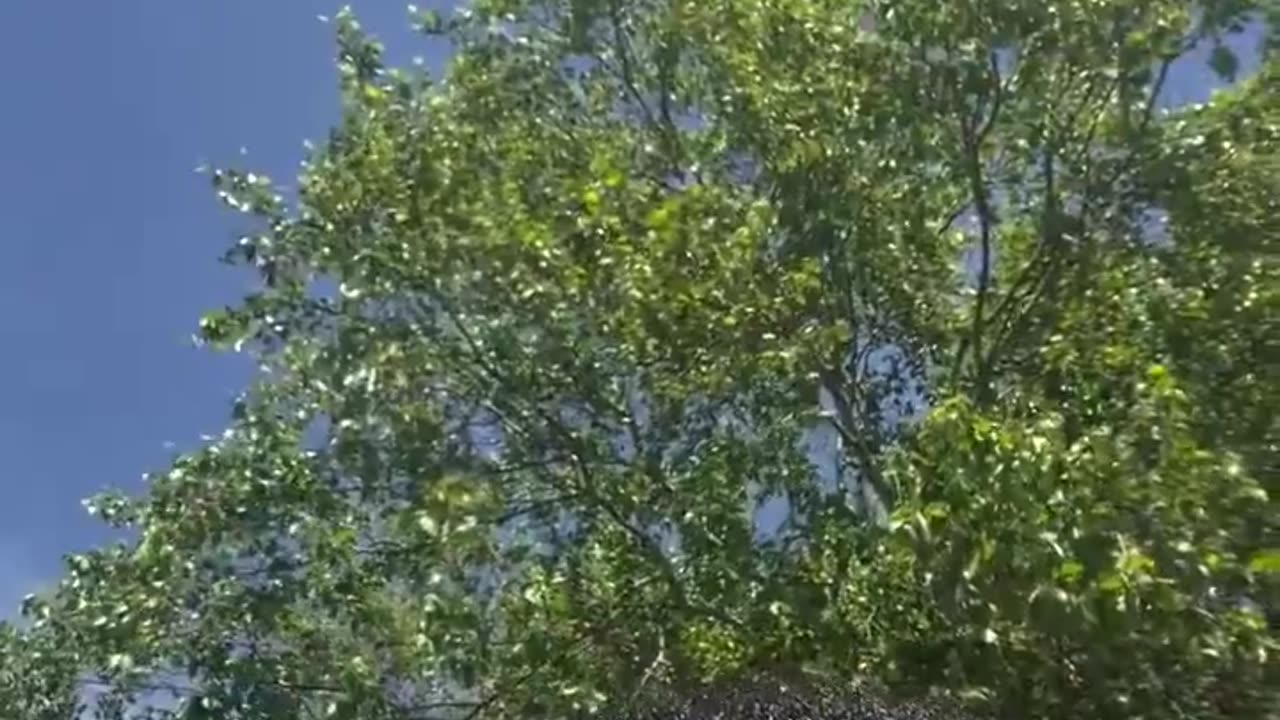 Mans smooth with it 😂