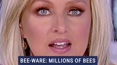 BEE-WARE: Millions of bees escape transport vehicle #shorts #news #us #bee #escape #viralvideo