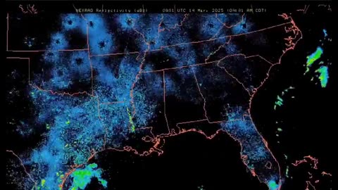 NEXRAD N. American Microwave pulse March 14, 2025 with narration.