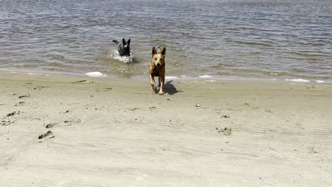 fun at the beach 239084320984