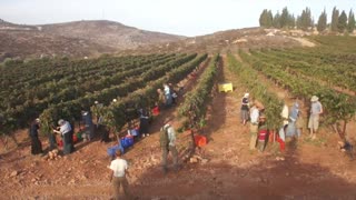 Associated Christian Television 24/7