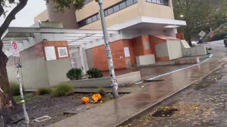 Antifa Has Been Dismantled In POrtland..