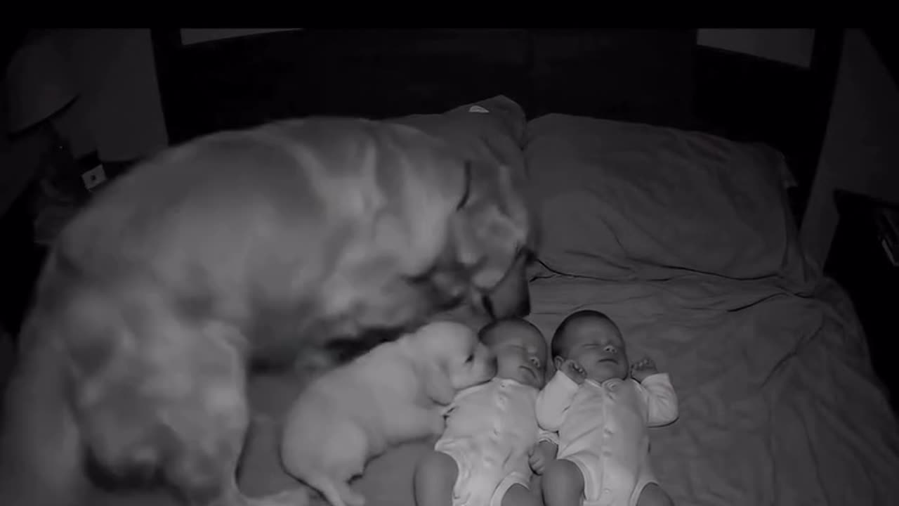 cutest thing Ive ever seen