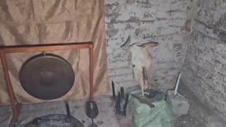 Russian Soldiers Discover Evidence in Ulakly After Ukrainian Forces Withdraw