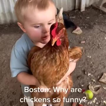 Quieros favorite joke! #shorts #newborn #cutebaby #parenting #chicken #funnyvideo