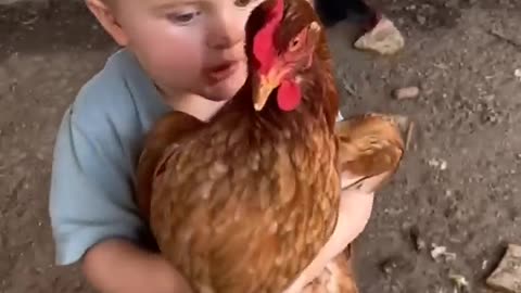 Quieros favorite joke! #shorts #newborn #cutebaby #parenting #chicken #funnyvideo