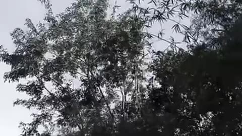 🇹🇭🇰🇭 The Thai military launched a strike drone, which is a local copy of the "Shahed-136" drone.