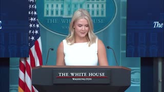 🔥Karoline Leavitt: "It's true. Do you accept that as true?"