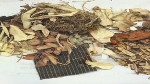 TCM Treatments in Toronto - torontoacupunctureclinic.com