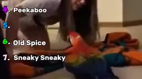 Best Parrot Moments