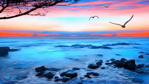 Hours of Relaxing Saxophone & Piano Music for Deep Sleep | Dark Screen Sleep Music