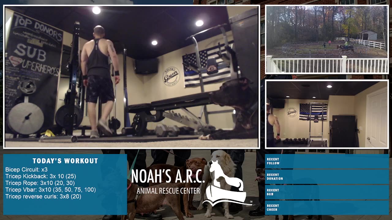 LBL Session w/Remy & Dufus [Week 15] - Gunz, Gunz, Gunz // Animal Rescue Stream :)