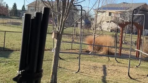 Technology Will Set Us Free