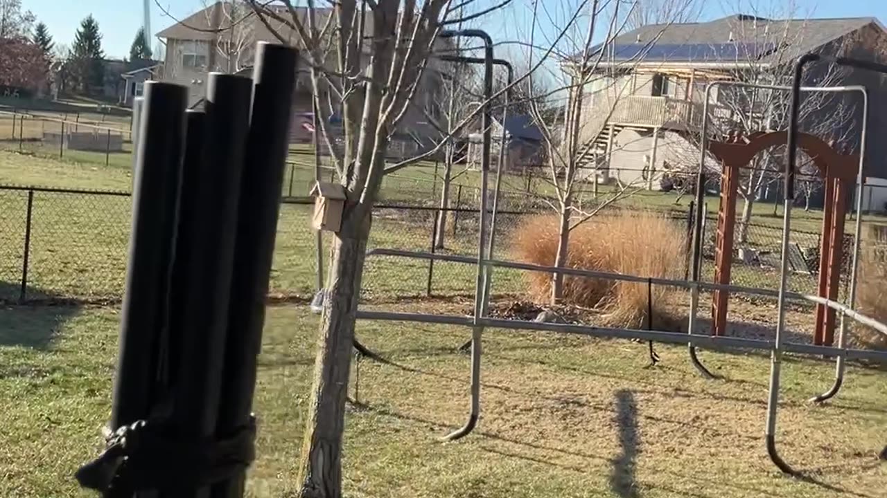 Technology Will Set Us Free